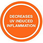 Decreases UV Induced Inflammation